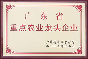 yy易游官网